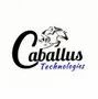 Caballus Technologies (Opc) Private Limited