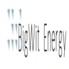 Bigwit Energy Private Limited