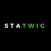 Statwig Technology Services Private Limited