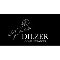 Dilzer Consultants Private Limited