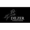 Dilzer Consultants Private Limited