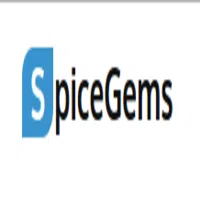 Spicetech It Solutions Private Limited
