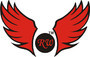 Red Wings Sports Private Limited