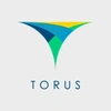 Torus Innovations Private Limited