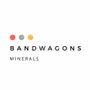 Bandwagons Multitrade Private Limited