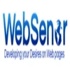 Websenor Private Limited