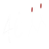 46 Xx Foundation