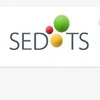 Sedots Engineering Services Private Limited