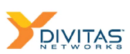 DIVITAS NETWORKS (INDIA) PRIVATE LIMITED