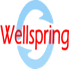 Wellspring Software Labs Private Limited