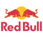 Red Bull India Private Limited