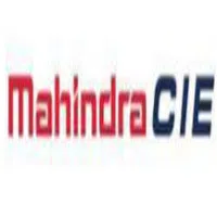 Cie Automotive India Limited