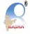 Rasha Advisory And Consultancy Services Private Limited