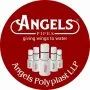 Angels Polyplast Llp