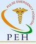 Pulse Emergency Hospital Private Limited