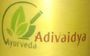 Adivaidya Ayurvedic Pharmacy Llp