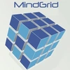 Mindgrid Technologies Private Limited