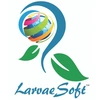 Larvae Software Solutions Private Limited