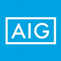 Aig Data Services Private Limited