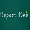 REPORT BEE EDUSYS LLP