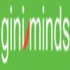 Giniminds Solutions Private Limited