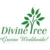 Divine Tree Limited