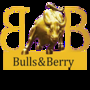 Bulls & Berry Private Limited