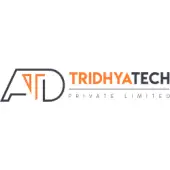 Tridhya Tech Limited