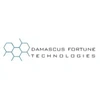 Damascus Fortune Technologies Private Limited