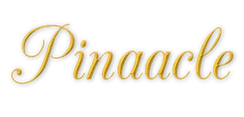 Pinaacle Consulting India Private Limited