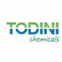 Todini Metals And Chemicals India Private Limited