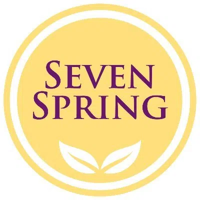 Seven Springs Ventures Llp