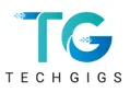 TECHGIGS LLP image