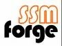 Ssm Forge Private Limited