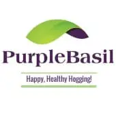 Purplebasil Lifestyle Solutions Private Limited