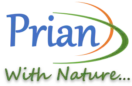 Prian Energy Llp