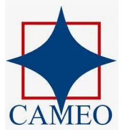 Cameo Corporate Services Limited