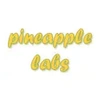 Pineapple Labs Private Limited