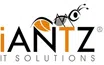 Iantz It Solutions Private Limited