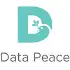 Datapeace Ai Technologies Private Limited
