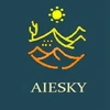 Aiesky Advisory And Consultancy Services Private Limited