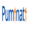 Puminati Digital Private Limited