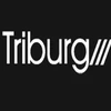 Triburg Imtiara Consultants Llp