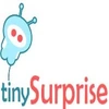 Tinysurprise Online Services Private Limited