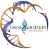 GENESPECTRUM LIFE SCIENCES LLP image