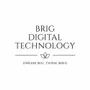 Brig Digital Technology (Opc) Private Limited