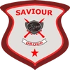 Saviour Intelligent Guard Force Private Limited