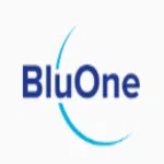 Bluone Ink Private Limited