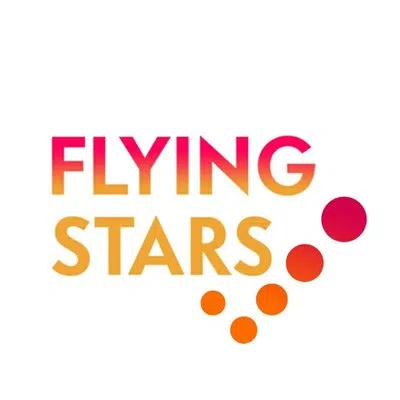 Flying Stars Informatics Private Limited
