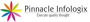 Pinnacle Infologix Private Limited